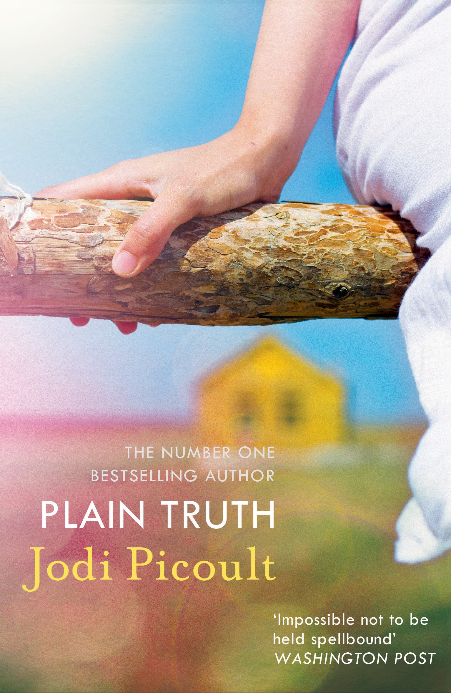 jodi picoult plain truth review